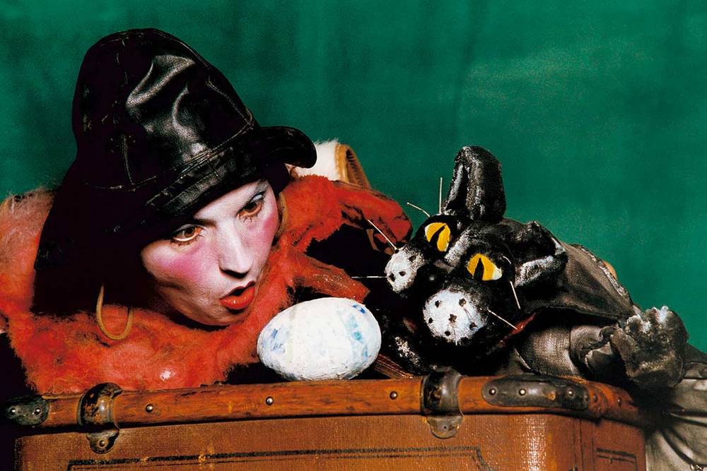 Kater Zorbas kater zorbas 01