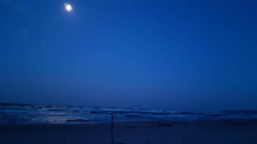 2026 Foto Clara Tanz Teterow.docx