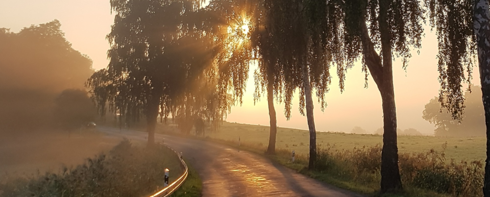 LAndstraße bei Sonnenuntergang