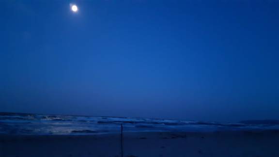 2026 Foto Clara Tanz Teterow.docx