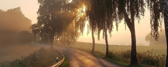 LAndstraße bei Sonnenuntergang
