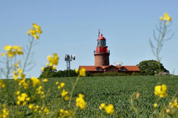 lt bastorf red &copy; Fotoclub Bad Doberan