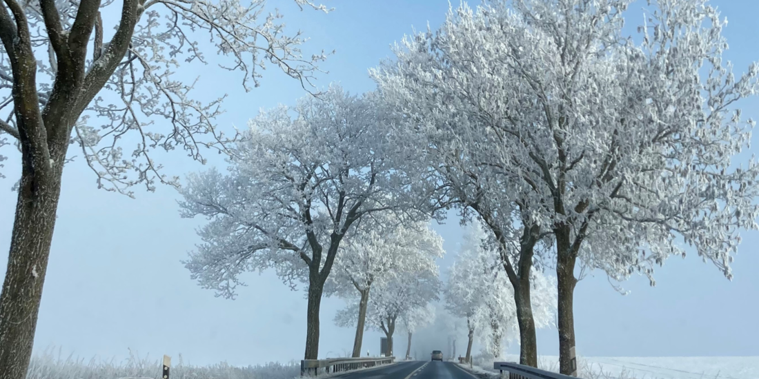 Mit Schnee bedeckte Bäume am Straßenrand © Landkreis Rostock