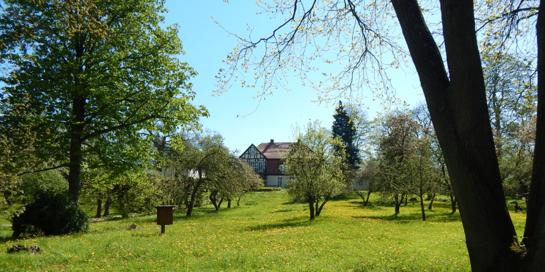 Blick vom Park auf das Thünenhaus © Landkreis Rostock / Juliane Hinz