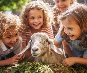 lachende Kinder sehen sich eine Ziege an
