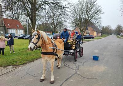 Kutschfahrt in Kurzen Trechow / Landkreis Rostock
