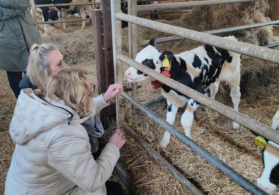 Landwirtschaftsunternehmen vor Ort / Landkreis Rostock