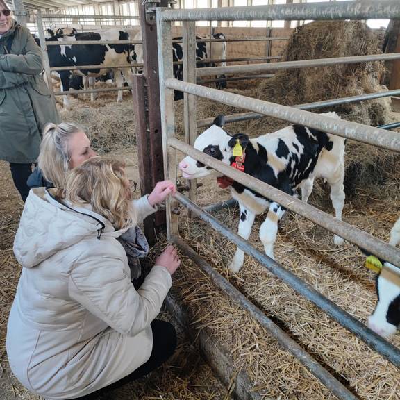 Landwirtschaftsunternehmen vor Ort