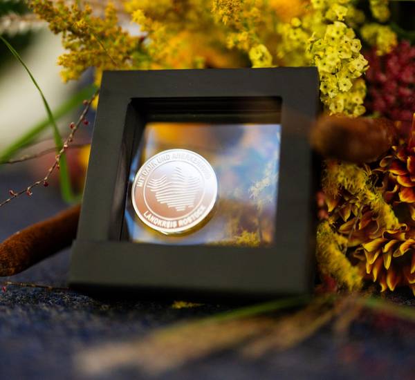 Ehrenmedaille in Silber