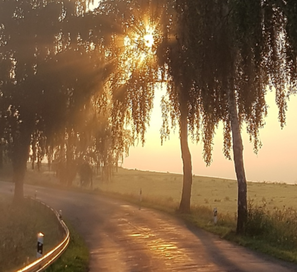 LAndstraße bei Sonnenuntergang