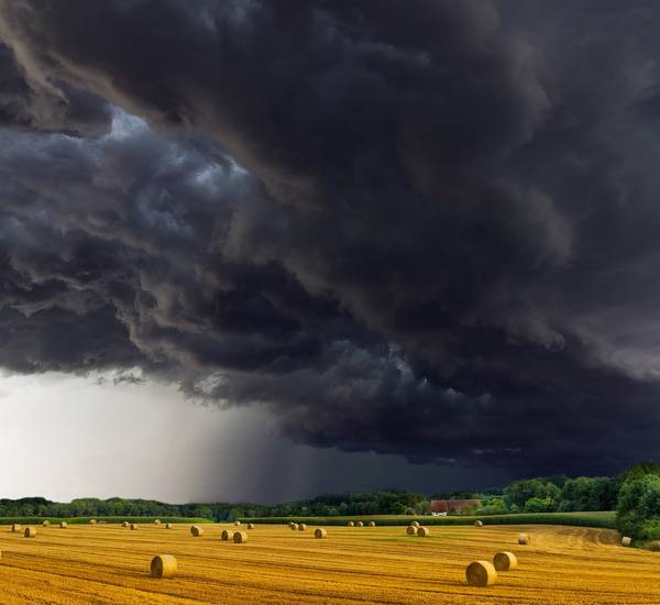 Dunkle Wetterwolke über Kornfeld