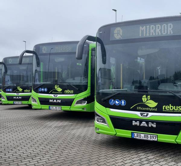 Grüne Linienbusse stehen in einer Reihe